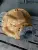 Редуктор переднего моста CDM863 оригинал